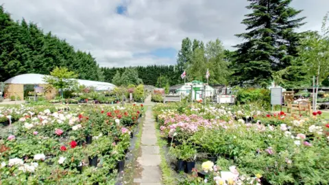 A pretty garden centre surrounded by flowers and big green trees. 