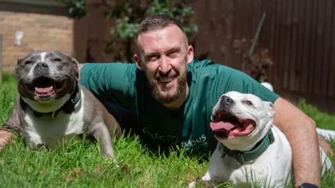 David lies on a patch of bright green grass outdoors, positioned between two muscular, short-haired dogs. He is wearing a dark green top with light text across the chest and has one arm around each dog’s shoulders.
On the left side of the image, a grey-and-white dog with a broad head and a collar sits close to the person, facing the camera with an open mouth and visible tongue. On the right side, a white dog wearing a green collar is positioned slightly closer to the camera, also with its mouth open and tongue visible.