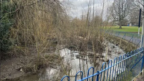 Image of the beck close up to the blue metal fence, the water is muddy and shallow, there are trees and branches everywhere sticking up out of the water.