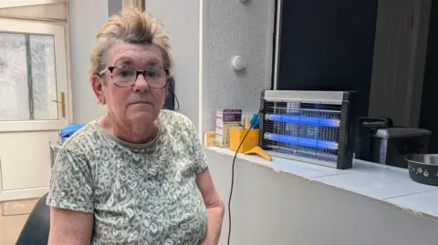 An elderly white woman with gingery, grey hair wearing a green and white patterned short sleeve T-shirt in front of an electronic fly trap on a window sill