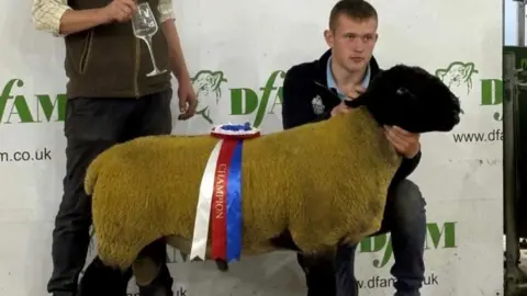 Ridley Craig Ridley Craig is a young man aged 17 with short hair and kneeling down in front of a large sheep which has a champion rosette attached to it. A man behind holds a wine glass.
