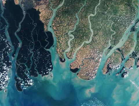 Copernicus Sentinel data (2016)/Esa Sundarbans