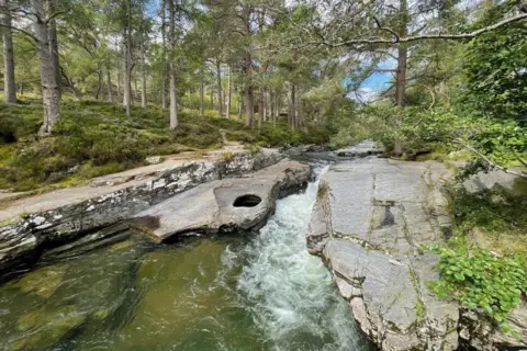 David May A river running through rocks in an area of forestry near Braemar