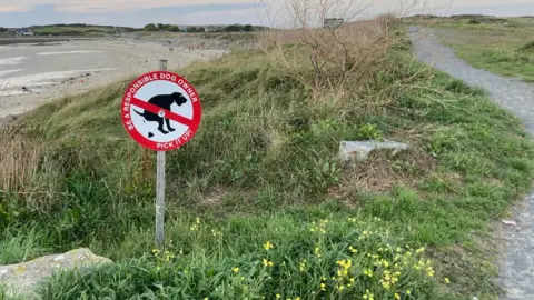 Responsible dog owner sign at Ladies Bay