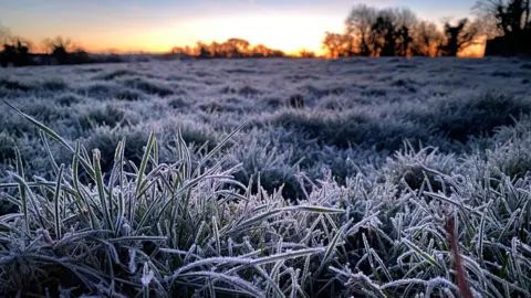 Frost this morning in Ballynoe near Downpatrick Co. Down via weather watcher Becka
