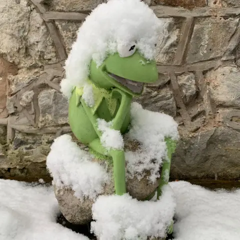 Ali Mills Kermit the Frog covered in snow in Flintshire