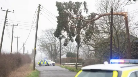 PA Media A fallen tree on power lines in Newborough near Peterborough