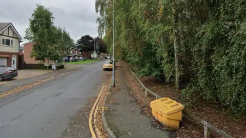 Google Maps A street with houses on one side and trees behind a low fence on the other. Cars can be seen parked on the street and in driveways. A lamppost is on the pavement on the right and double yellow lines round a kerb. A yellow grit bin is also on the pavement.
