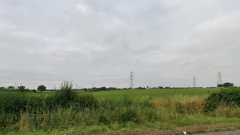 Google Fields and pylons beyond a hedge