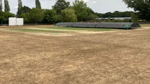 BBC A cricket pitch with dead, brown grass and only patches of green grass int he distance. There are black rain covers on the pitch with green trees in the background