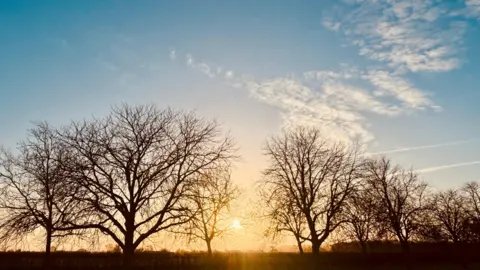 The sun sets behind some trees. The sun is glowing yellow and lighting up the clouds. The sky itself is a pale blue.