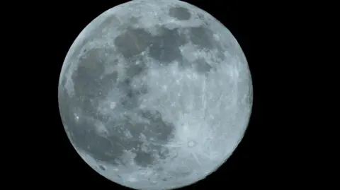 Practical Bill/WeatherWatchers A close up of the moon, which looks grey against a black sky.