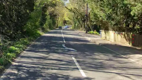 Google A Google Street image of a road with trees on the left and a path on the right.