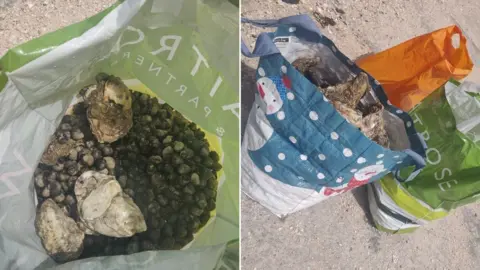 Essex Police Shellfish