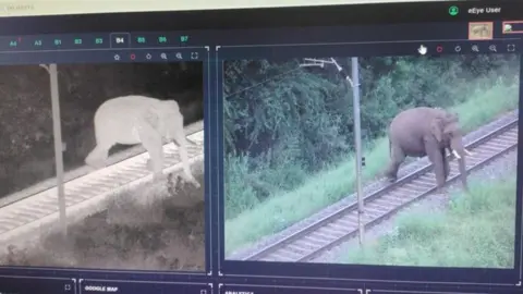Madan Prasad/BBC Cameras showing thermal and live images of elephants on the track