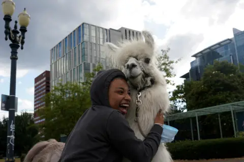NATHAN HOWARD/Reuters A person hugs a llama