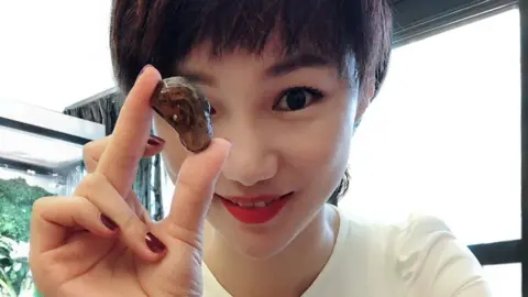 Lida XING, China University of Geosciences Beijing The chunk of amber that contains the baby snake