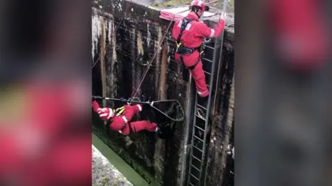 Badgers being rescued