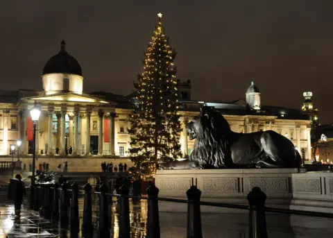 PA The tree stands in Trafalgar Square with lights running down the length of it. Its branches are slightly bare at the bottom. A statue of a lion can be seen in the forefront and a grand looking building, The National Portrait Gallery, sits in the back. 
