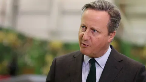 PA Media Lord Cameron on 14 February