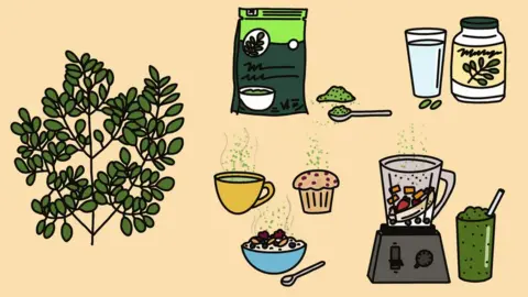 BBC moringa cholesterol