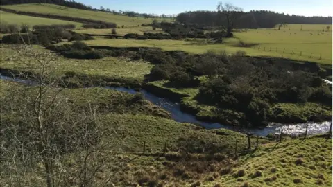 Groundwork NE & Cumbria Delf Burn, a tributary of the River Wansbeck