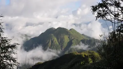 RBGE Hoang Lien mountain range