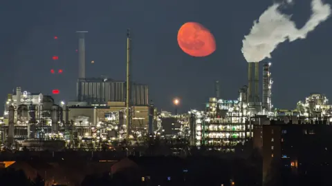 Getty Images BASF plant