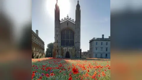 Steve Coghill King's College Chapel