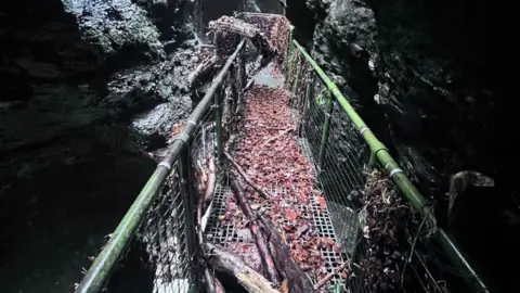 The platform at Devil's Cauldron at Lydford Gorge. It is covered in leaves and large branches. There are dark grey rocks on either side of the platform.
