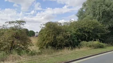 Trees and dense bushes partly mask an area of grassland next to a main rural road.