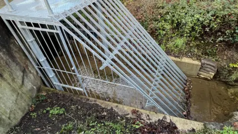Shaun Whitmore/BBC A metal grill cage-like structure over a stream.