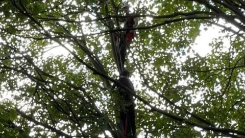 A teenager being rescued up a tree in Kempston