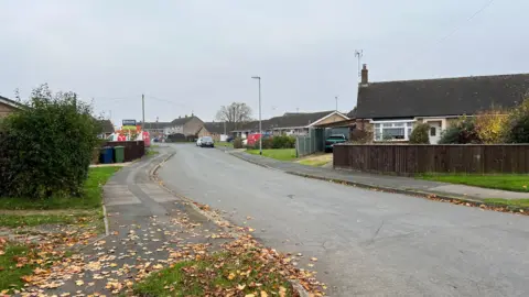 Steve Hubbard/BBC A residential street in March, houses and bungalows can be seen on both sides of the road with fallen leaves on the path