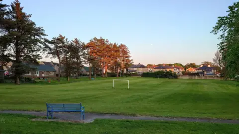 The open green space which has two football nets, there are houses in the background and trees.