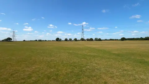 A view of one of Mr Hutton's vast fields, the grass is a yellow burnt out colour in some areas with patchy green spots. The land looks tired, in the distance is a line of green trees.