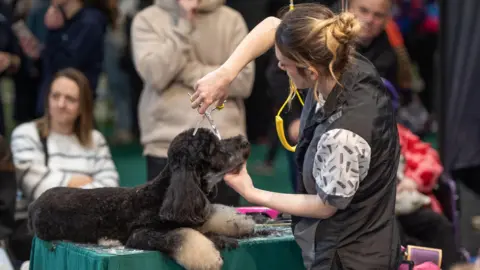 Ewan Noble Photography The woman and dog from the above photo. She is wearing a grooming smock and using scissors to cut the dog's photo. Spectators are out of focus in the background.