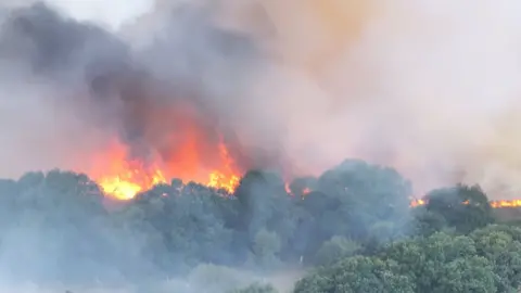 Beaumont Studio A wall of flames rips through gorse with black smoke rising into the sky above