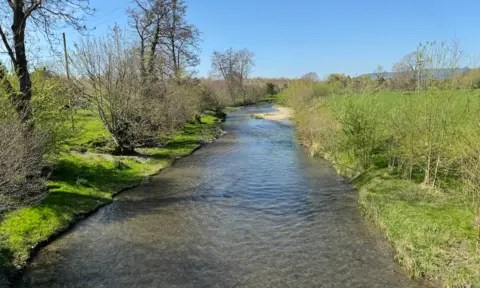 A stretch of river, with the sides straightened. Some new trees are growing on the banks. 