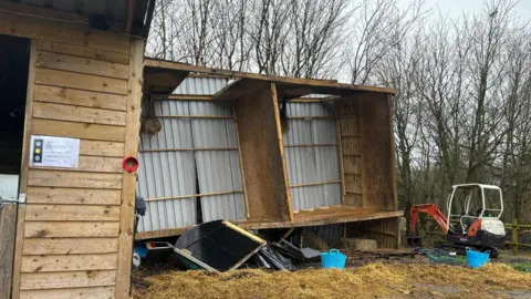 Handout Wooden horse stables lopsided with damage to the corrugated metal and roof