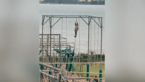 Lt Lily-Mae Fisher Lt Fisher reaches the top of a 30ft rope on the Royal Marines Bottom Field assault course. She is the only one on the frame of ropes. An instructor looks up at her.