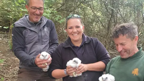 Surrey Police Two men wither side of a woman, stood in a forest. The three people are each holding a white falcon chick with a grey beak using two hands.