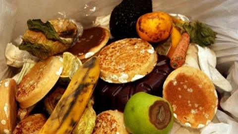 Contents of a food waste caddy - mouldy bread and rotting bananas and apples