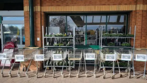 Lyndsey Downes Shopping trolleys