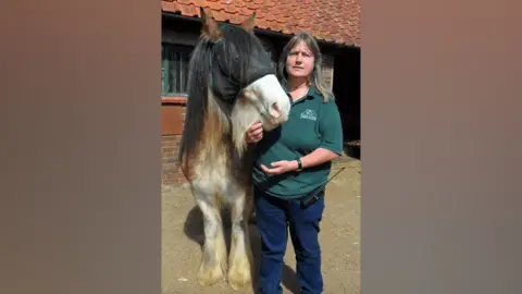 Remus Horse Sanctuary Sue Barton wears a dark green polo shirt and blue trousers. She is stood next to a black and white horse, in front of a red-brick building.
