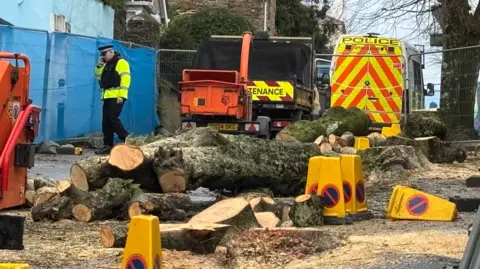 The remains of the trees on a road. Metal barriers surround the felling site. Yellow cones are scattered around the trees. A worker vehicle is parked near the site as well as a police van. A police officer is walking next to the fallen trees and is holding a phone to his ear. 