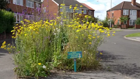 Oli Constable/BBC Yellow flowers by the roadside