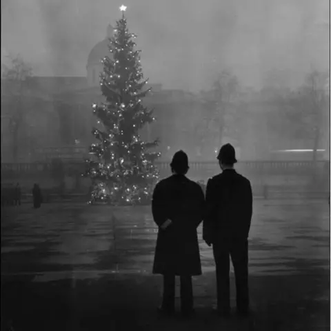 Getty Images Trafalgar tree