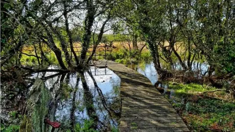 Manxscenes Ballaugh Curraghs