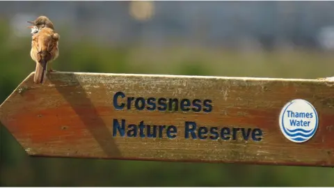 Donna Zimmer Crossness Nature Reserve